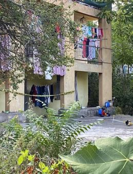 Kocasını öldüren kadından tüyler ürperten ifadeler: Bana ceza olsun diye kuşumun ve kedimin kafasını kesti