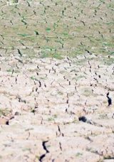 Kuraklık Mikroplarda Antibiyotik Direncini Artırdı