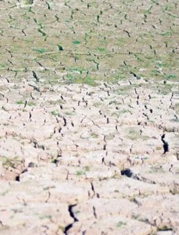 Kuraklık Mikroplarda Antibiyotik Direncini Artırdı