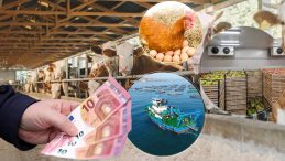 Milyonlara geri &ouml;demesiz 241 milyon euro verilecek! Takvim belli oldu, kimler yararlanacak?