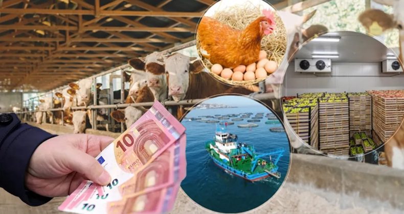 Milyonlara geri &ouml;demesiz 241 milyon euro verilecek! Takvim belli oldu, kimler yararlanacak?