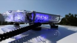 Minguzzi ailesine tehdit ve hakarete bir g&ouml;zaltı