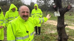 Mustafa Varank, Yenik&ouml;y termik santrali maden sahasındaki zeytin ağa&ccedil;larının taşınması s&uuml;recini yerinde inceledi