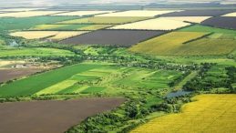 Nadasa bırakılan arazi projelerine y&uuml;zde 75 hibe desteği