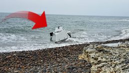 Ordu'da kıyıya vurdu, ekipler alarma ge&ccedil;ti: A&ccedil;ığa &ccedil;ekilip İmha edilecek