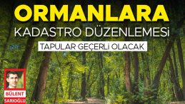 Ormanlara Kadastro D&uuml;zenlemesi