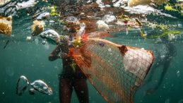 "Sıfır Atık Mavi Hareketi" aralıksız s&uuml;rd&uuml;r&uuml;l&uuml;yor! T&uuml;rkiye'de denizlerden 325 bin ton atık temizlendi