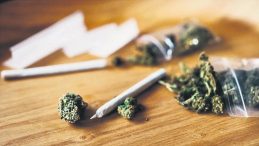 Sağlık ve kişisel bakım sekt&ouml;r&uuml;ne kenevir izni