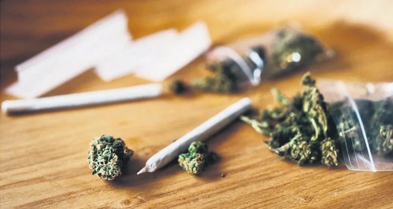 Sağlık ve kişisel bakım sekt&ouml;r&uuml;ne kenevir izni