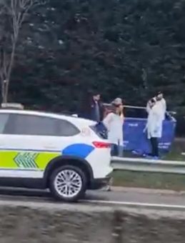 Sancaktepe'de dehşete d&uuml;ş&uuml;ren olay! Otoban kenarında bebek cesedi bulundu