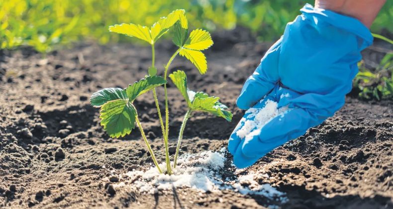 Savaş gıda krizini tetikler mi?