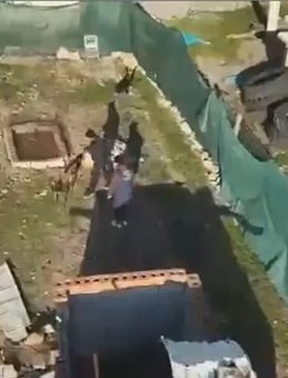 Sigara izmaritindeki DNA, caniyi ele verdi