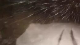 Siirt'te Karla M&uuml;cadele S&uuml;r&uuml;yor: Mahsur Kalan Vatandaşlar Kurtarıldı