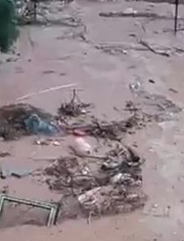 Şırnak'ta sağanak hayatı olumsuz etkiledi: Dereler taştı, evleri su bastı