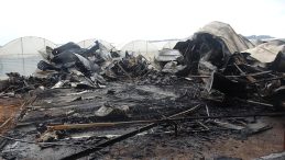 SON DAKİKA&hellip; Antalya'daki konteyner yangınında 7 aylık hamile anne ile 5 evladı &ouml;lm&uuml;şt&uuml;: Faciada &ccedil;arpıcı gelişme