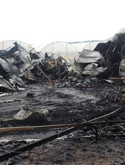 SON DAKİKA&hellip; Antalya'daki konteyner yangınında 7 aylık hamile anne ile 5 evladı &ouml;lm&uuml;şt&uuml;: Faciada &ccedil;arpıcı gelişme