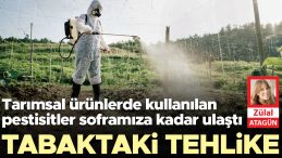 Tabaktaki g&ouml;r&uuml;nmeyen tehlike