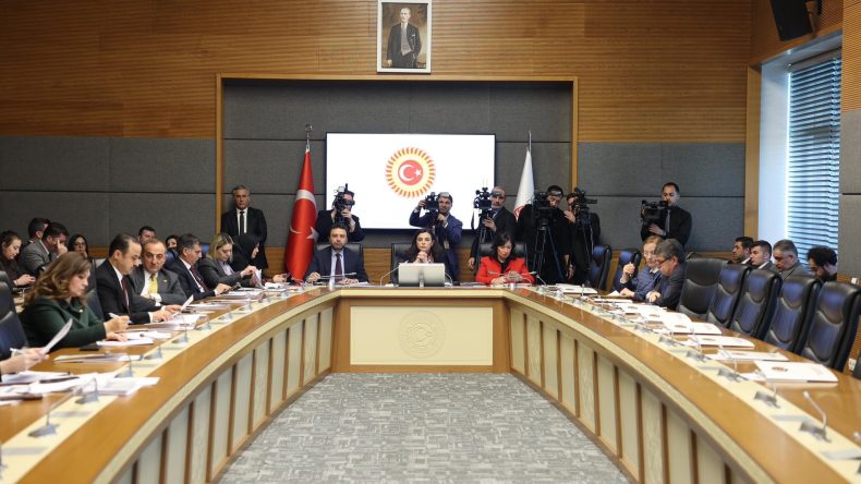 TBMM Su&ccedil;a S&uuml;r&uuml;klenen &Ccedil;ocuklara İlişkin Araştırma Komisyonu toplandı