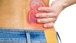 TBV&rsquo;den dev b&ouml;brek maketli kampanya… T&uuml;rkiye&rsquo;de 72 bin diyaliz hastası var