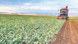 T&uuml;rkiye&rsquo;nin arz g&uuml;venliğinde sorun yok