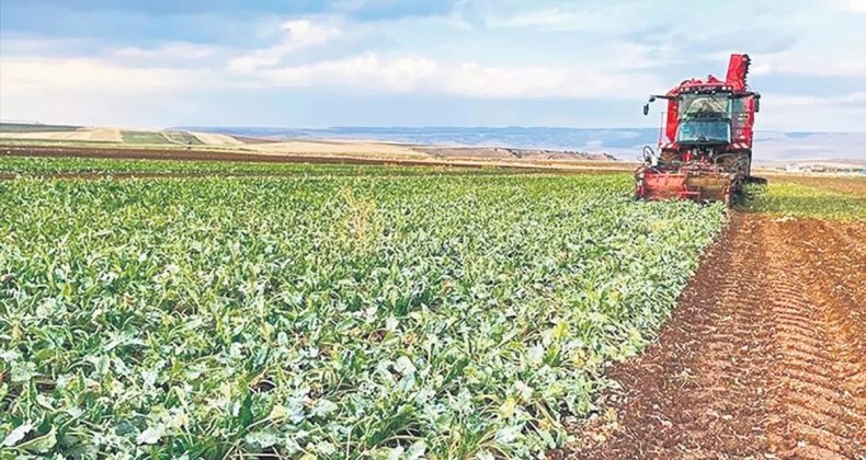 Türkiye’nin arz güvenliğinde sorun yok