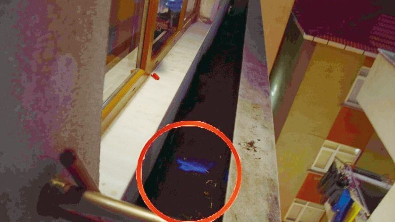 Vahşeti ele veren mavi ışık