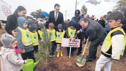 Yeşil Vatanda hedef 600 milyon fidan