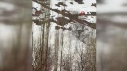 Y&uuml;ksekova&rsquo;da &Ccedil;ığ Paniği: K&ouml;y Halkı Facıadan D&ouml;nd&uuml;