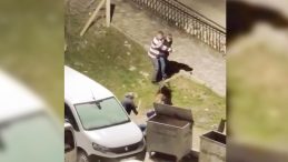 Zorba Kocaya Komşu Dayağı