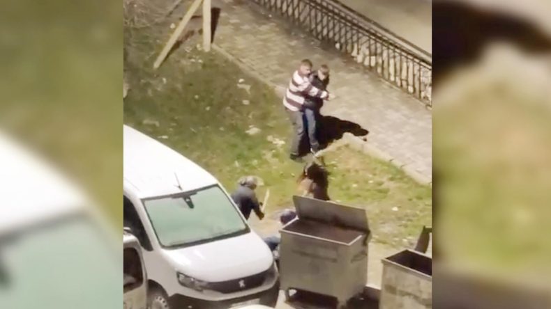 Zorba Kocaya Komşu Dayağı