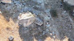 11 g&uuml;n sonra bulunan ceset davasında şok gelişme: Sanık tahliye edildi