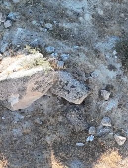 11 g&uuml;n sonra bulunan ceset davasında şok gelişme: Sanık tahliye edildi