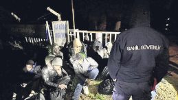 181 D&uuml;zensiz G&ouml;&ccedil;men Yakalandı