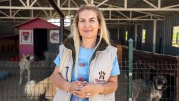 26 Bin Liralık Kira Borcu: Yaşama Tutunan Patiler Derneği'ne Tahliye Kararı