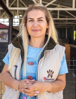 26 Bin Liralık Kira Borcu: Yaşama Tutunan Patiler Derneği'ne Tahliye Kararı