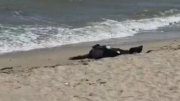 40 g&uuml;nd&uuml;r aranan şahsın cesedi Karaburun&rsquo;da sahile vurdu