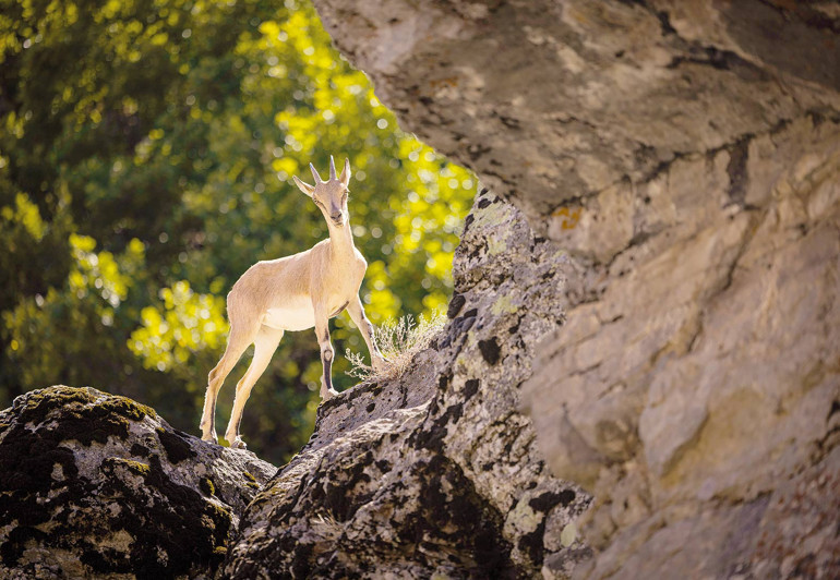 Tunceli’deki Munzur Vadisi Milli Parkı