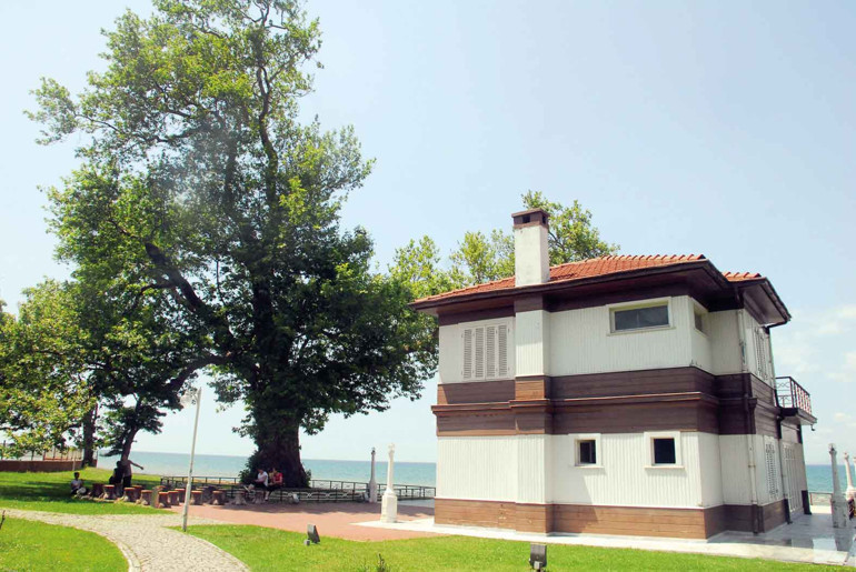 Yürüyen Köşk’ün çınar fidesi Anıtkabir’de