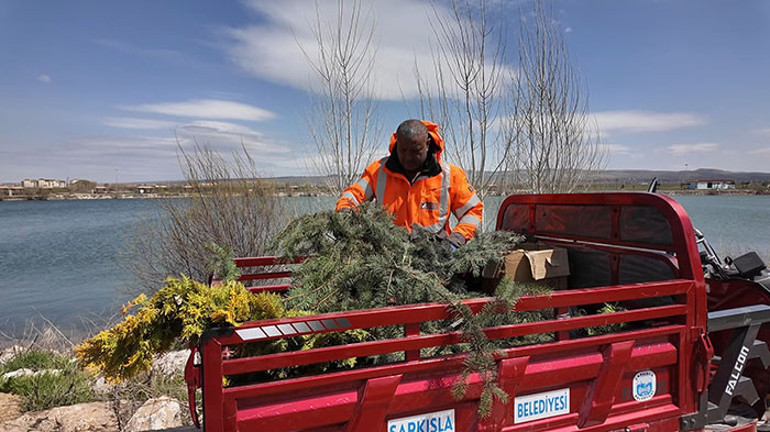 Şarkışla Belediye Başkanı Kasım Gültekin