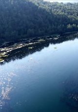 Adana Valiliğinden 'Ceyhan Nehri&rsquo;nde su taşkını' uyarısı