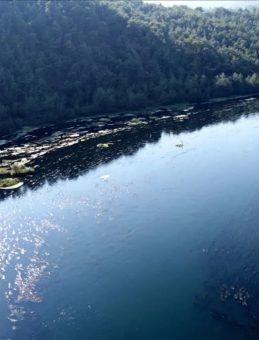 Adana Valiliğinden 'Ceyhan Nehri&rsquo;nde su taşkını' uyarısı