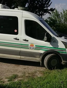 Adana'da Ormanlık Alanda Kimliği Belirsiz Erkek Cesedi Bulundu