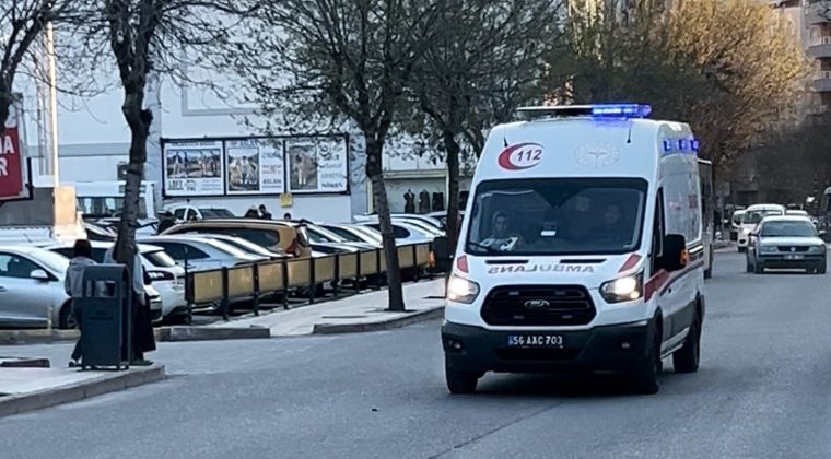 Ağa&ccedil; Budarken Kolunu Kesti, Ambulansta Kalp Krizi Ge&ccedil;irdi
