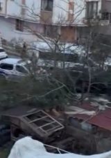 Aile faciası: 2 &ouml;l&uuml;, 1 yaralı