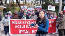 Akbelen&rsquo;de ger&ccedil;ek ortaya &ccedil;ıktı! Hakimi tehdit eden protestocu tutuklandı