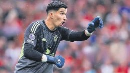 Altay İkinci Alternatif