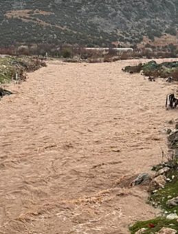 Antalya'da Kuvvetli Sağanak Nedeniyle Tarım Arazileri ve Seralar Su Altında Kaldı