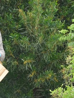 Antalya&rsquo;da Ormanlık Alanda Erkek Cesedi Bulundu