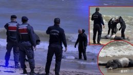 Arnavutk&ouml;y Sahilinde Erkek Cesedi Bulundu