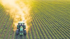 Aşırı Sıcaklar Tarımı Vuruyor